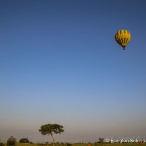 Hot Air Balloon Safari over Murchison Falls NP